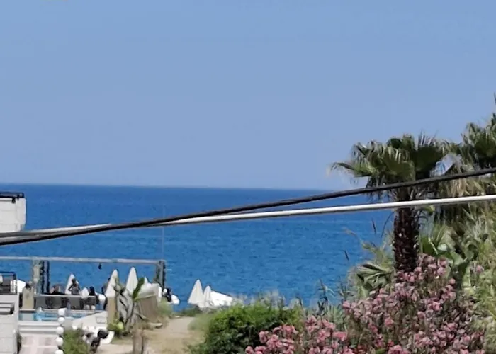 Lola\'S Hotel
